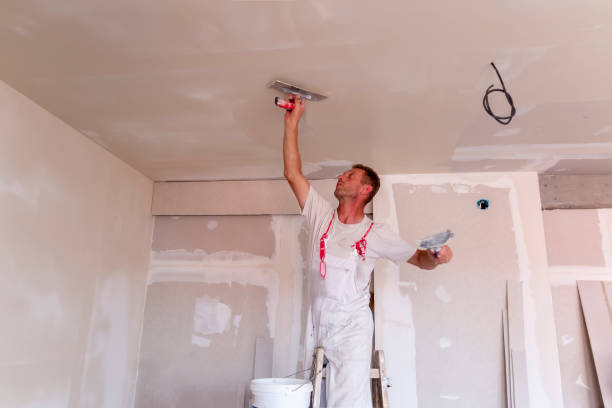 Best Ceiling Drywall Installation  in Staunton, IL