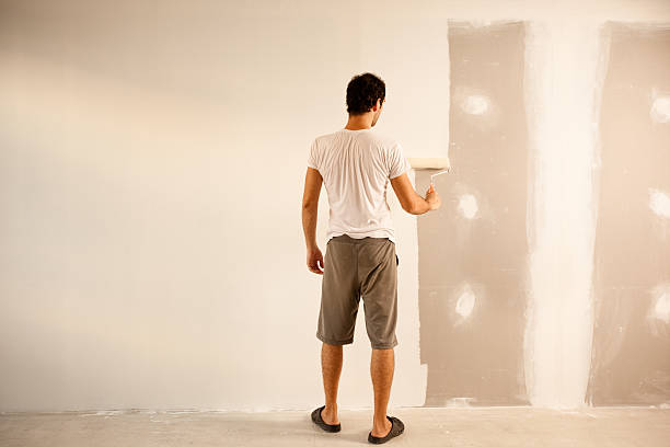 Best Wallpaper Removal and Painting  in Staunton, IL